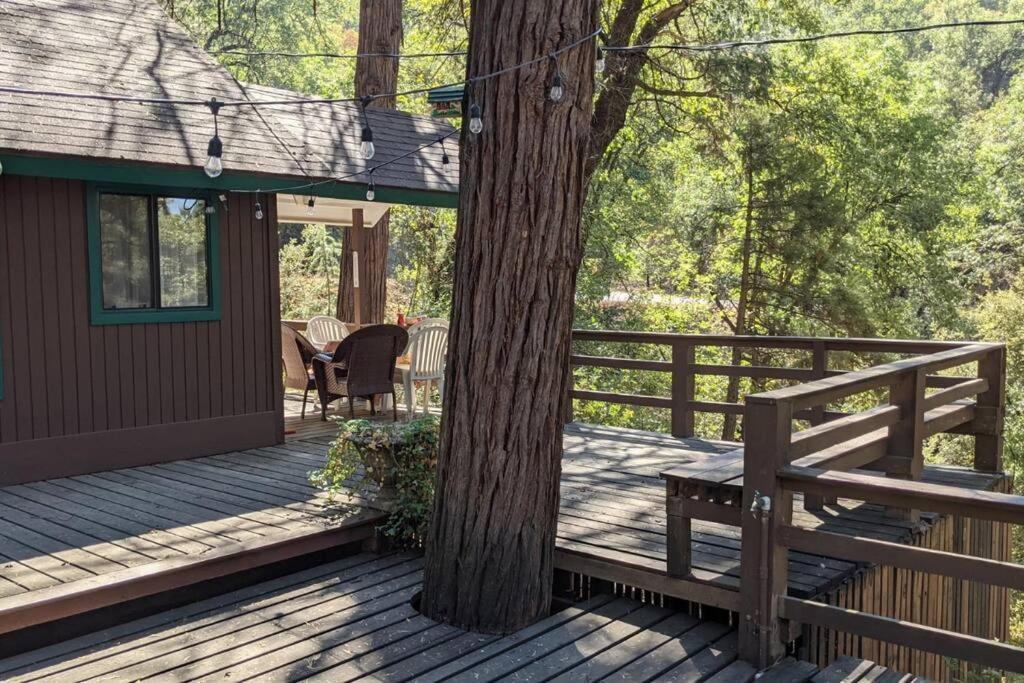 Pierce'S Cabin Miramonte Luaran gambar